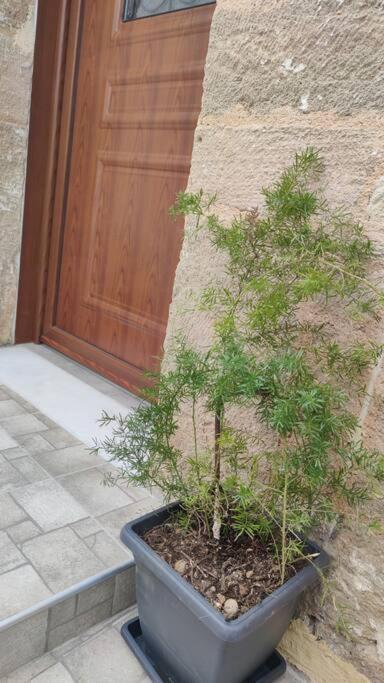 Heliophilia Malona Villa Malona Village Ngoại thất bức ảnh